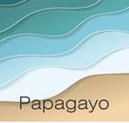 Dibujo de una toma aérea de la playa, a la izquierda se ve la arena y hacia la derecha se muestran olas con diferentes tonos de azul y la palabra Papagayo en la parte inferior